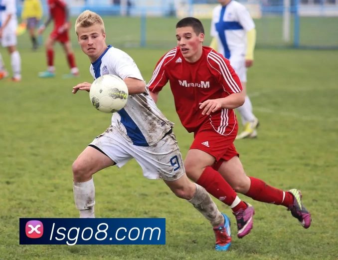 App Interface Preview